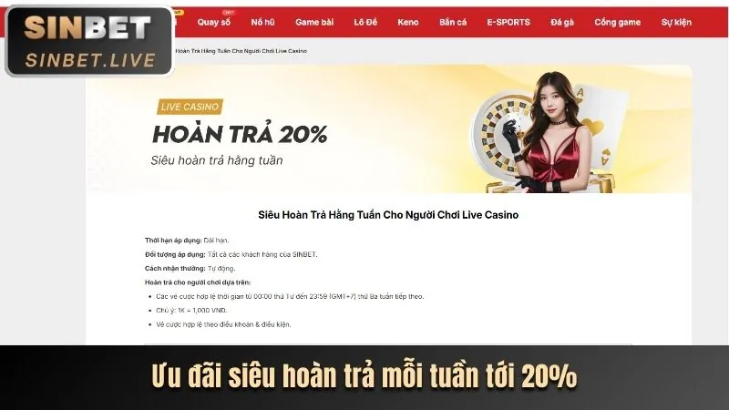 Cá cược thể thao Rongvang68